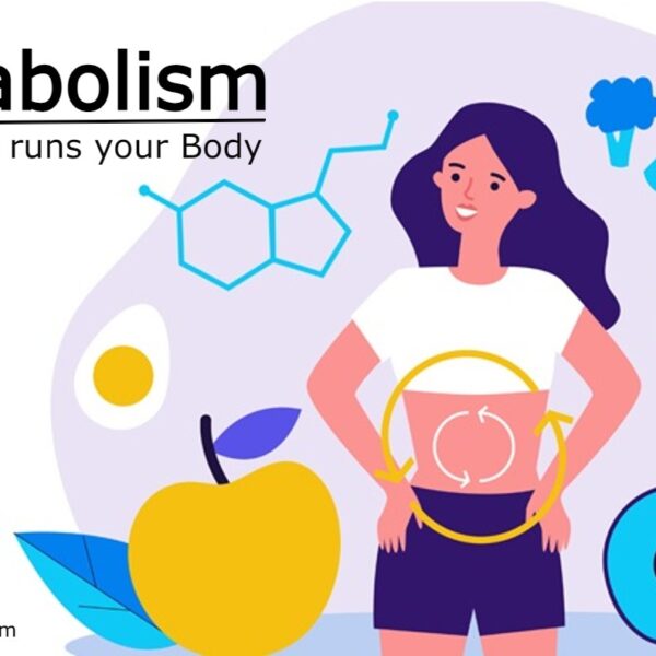 UNDERSTANDING Metabolism: The Secret to Unlocking It?